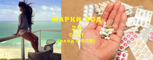 прущие грибы Абинск