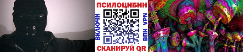 где купить наркотик  Советск  Псилоцибиновые грибы Psilocybine cubensis 